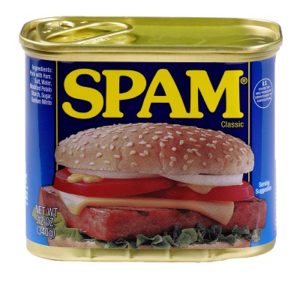 © Qwertyxp2000 Figure 1: The Edible Spam