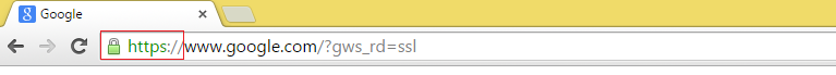 HTTPS protocol