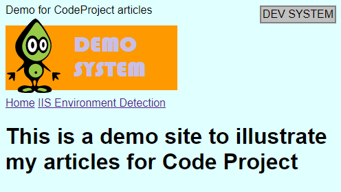 Running in the development environment