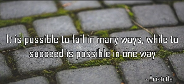 It is possible to fail in many ways...while to succeed is possible only in one way